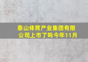 泰山体育产业集团有限公司上市了吗今年11月