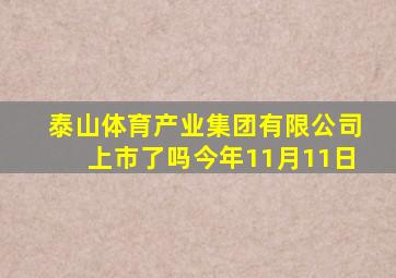 泰山体育产业集团有限公司上市了吗今年11月11日