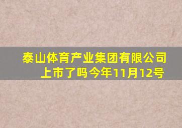 泰山体育产业集团有限公司上市了吗今年11月12号