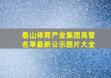 泰山体育产业集团高管名单最新公示图片大全