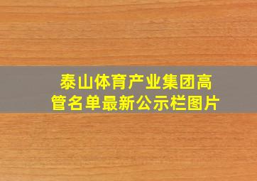 泰山体育产业集团高管名单最新公示栏图片