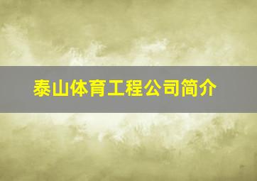 泰山体育工程公司简介