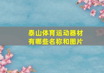 泰山体育运动器材有哪些名称和图片