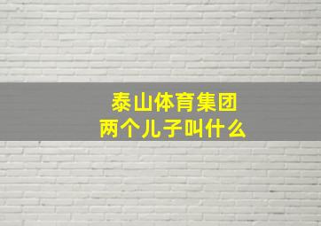 泰山体育集团两个儿子叫什么