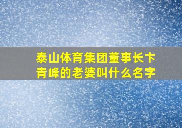 泰山体育集团董事长卞青峰的老婆叫什么名字