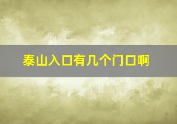 泰山入口有几个门口啊