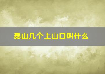 泰山几个上山口叫什么