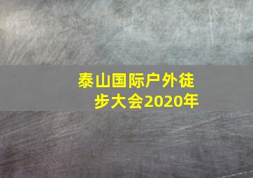 泰山国际户外徒步大会2020年