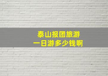 泰山报团旅游一日游多少钱啊