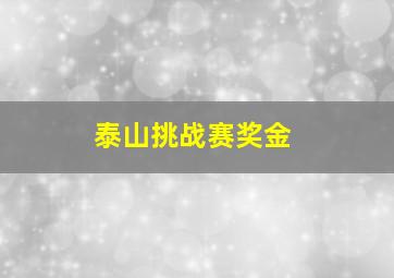 泰山挑战赛奖金