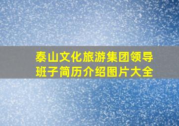 泰山文化旅游集团领导班子简历介绍图片大全