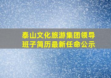 泰山文化旅游集团领导班子简历最新任命公示