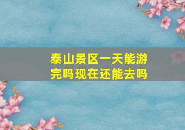 泰山景区一天能游完吗现在还能去吗