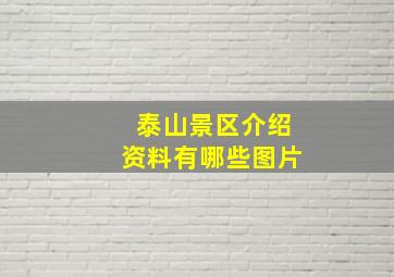 泰山景区介绍资料有哪些图片