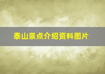 泰山景点介绍资料图片