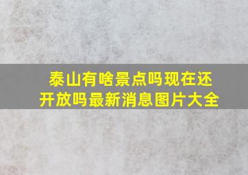 泰山有啥景点吗现在还开放吗最新消息图片大全