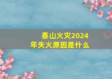 泰山火灾2024年失火原因是什么