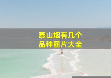 泰山烟有几个品种图片大全