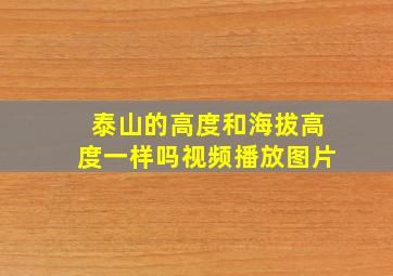 泰山的高度和海拔高度一样吗视频播放图片