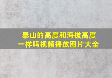 泰山的高度和海拔高度一样吗视频播放图片大全