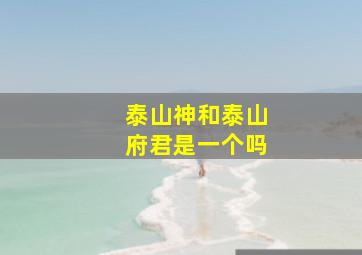 泰山神和泰山府君是一个吗