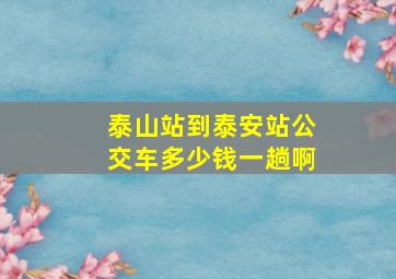 泰山站到泰安站公交车多少钱一趟啊