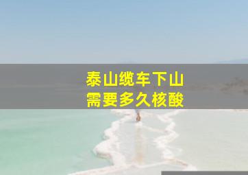 泰山缆车下山需要多久核酸