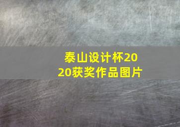 泰山设计杯2020获奖作品图片