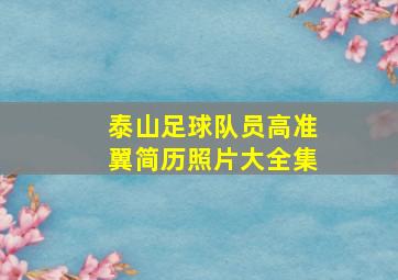 泰山足球队员高准翼简历照片大全集