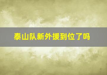 泰山队新外援到位了吗