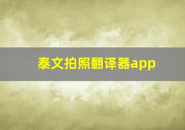 泰文拍照翻译器app