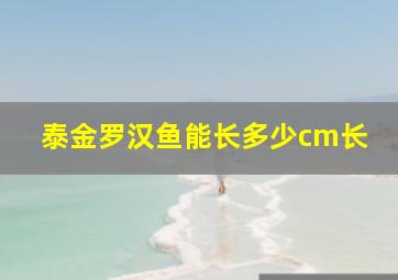 泰金罗汉鱼能长多少cm长