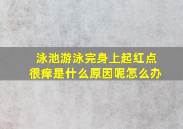 泳池游泳完身上起红点很痒是什么原因呢怎么办