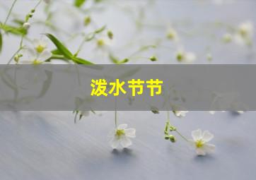 泼水节节