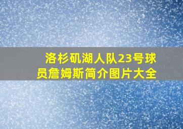 洛杉矶湖人队23号球员詹姆斯简介图片大全