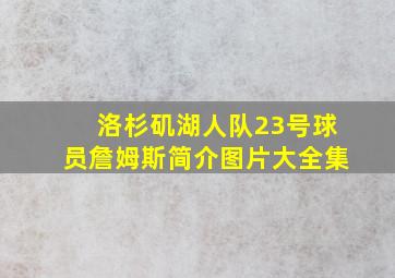 洛杉矶湖人队23号球员詹姆斯简介图片大全集