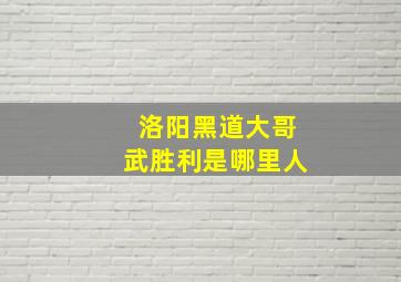 洛阳黑道大哥武胜利是哪里人