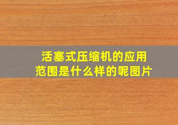 活塞式压缩机的应用范围是什么样的呢图片