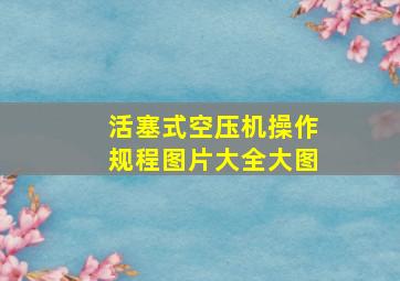 活塞式空压机操作规程图片大全大图