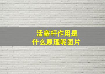 活塞杆作用是什么原理呢图片