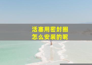 活塞用密封圈怎么安装的呢