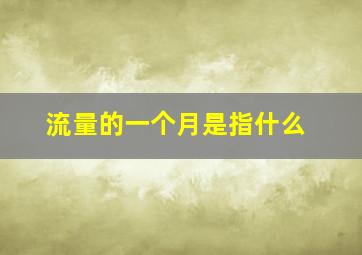 流量的一个月是指什么