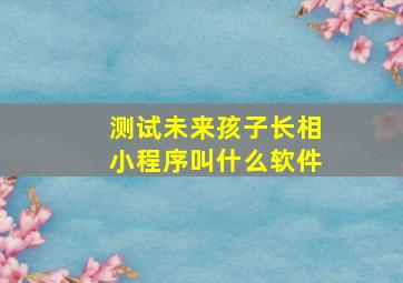 测试未来孩子长相小程序叫什么软件