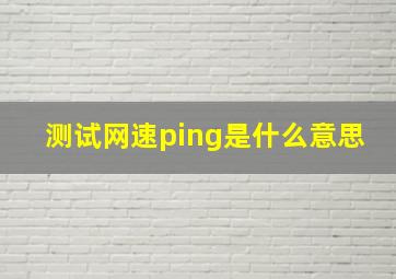 测试网速ping是什么意思