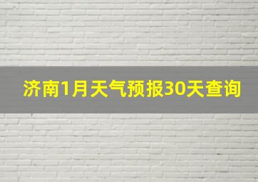 济南1月天气预报30天查询