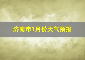 济南市1月份天气预报