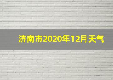 济南市2020年12月天气