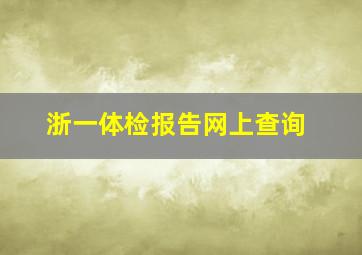 浙一体检报告网上查询