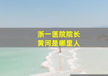 浙一医院院长黄河是哪里人