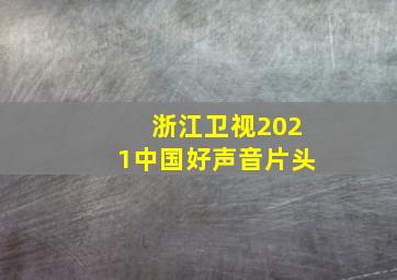 浙江卫视2021中国好声音片头